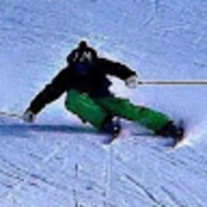 Meet your Posher, Bradley